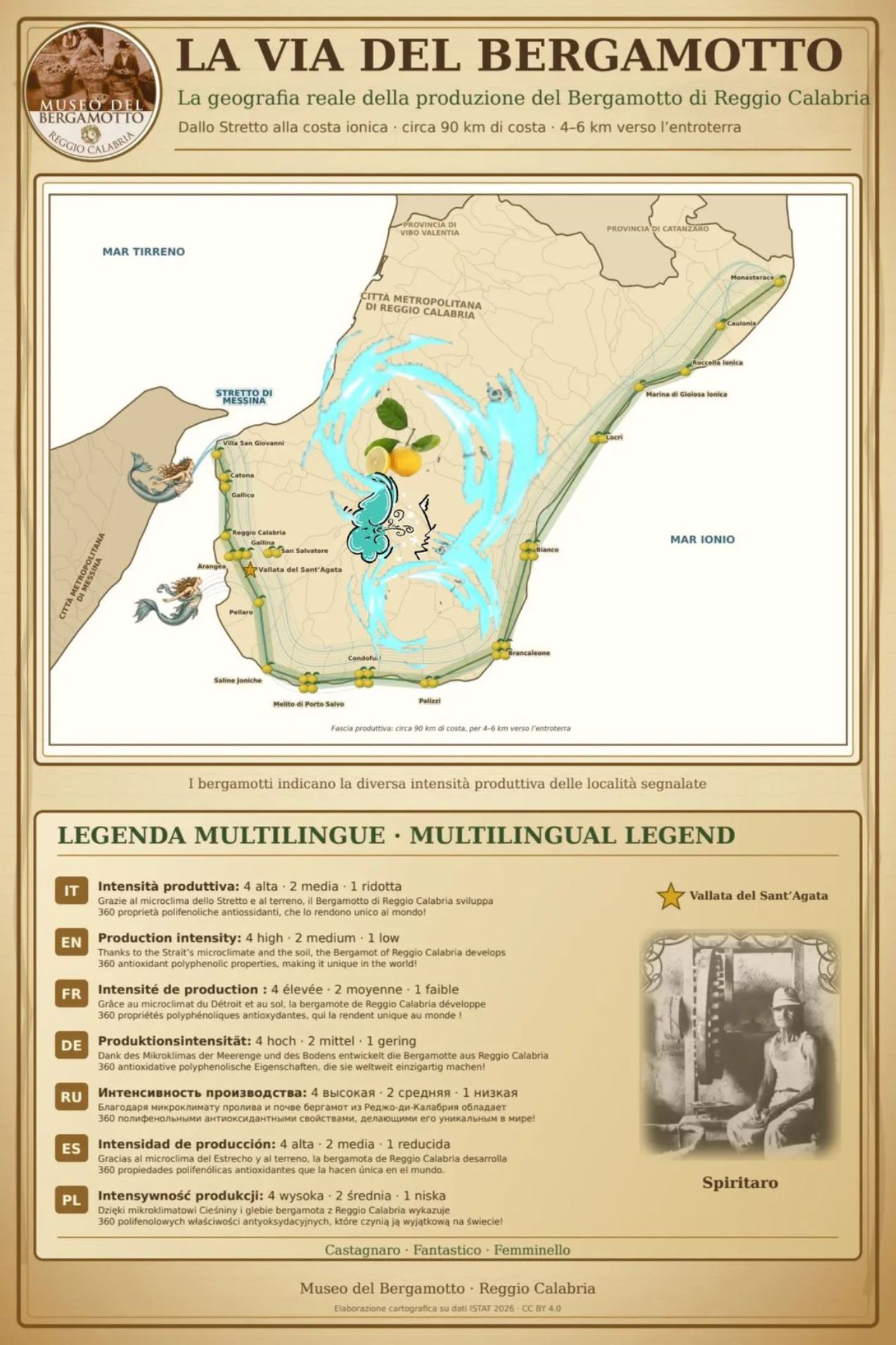 la vita del bergamotto