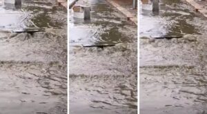 maltempo palermo strade allagate