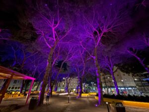 piazza quasimodo messina