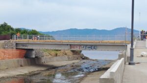ponte calopinace