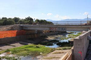 ponte calopinace