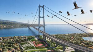 ponte sullo stretto uccelli migratori