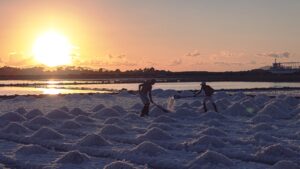 saline sicilia