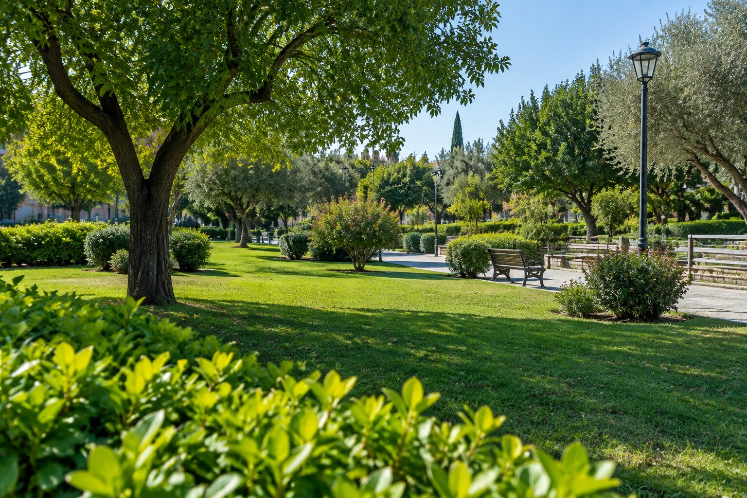 verde pubblico