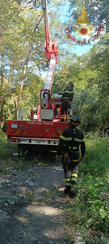 vigili del fuoco gru