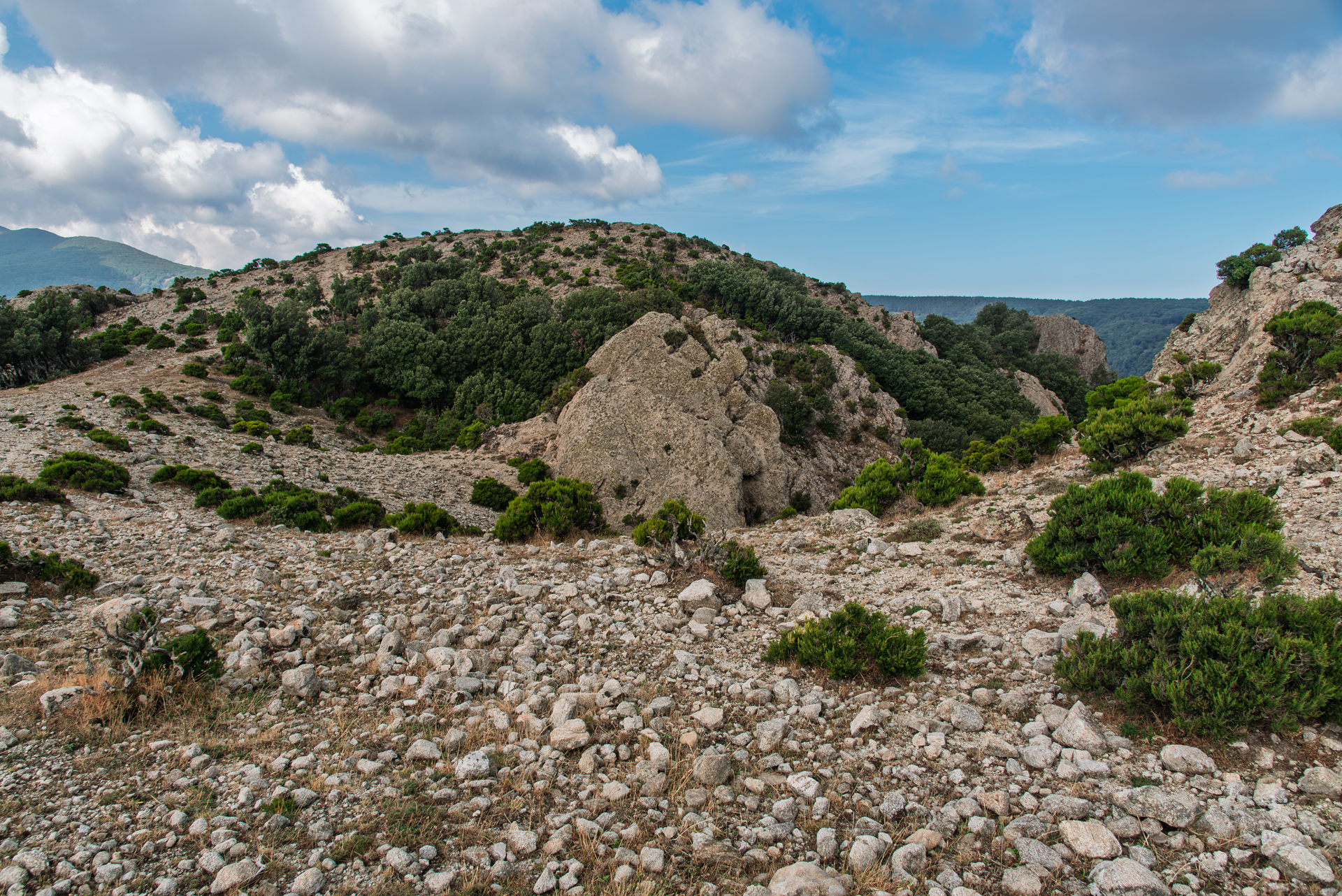 “Gente in Aspromonte” presenta la nuova escursione: domenica si esplora “Passo D
