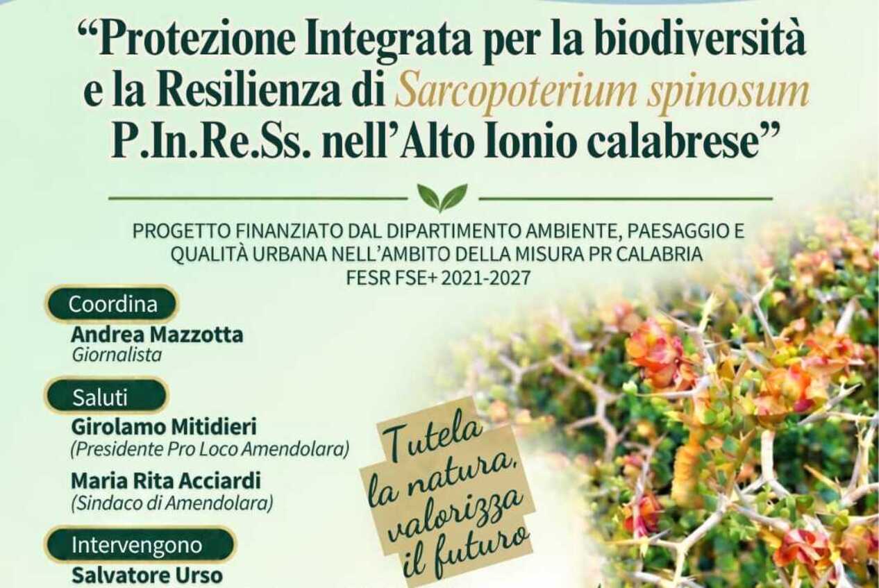 Amendolara, al via la tutela dello Spinaporci: un progetto per salvare la pianta