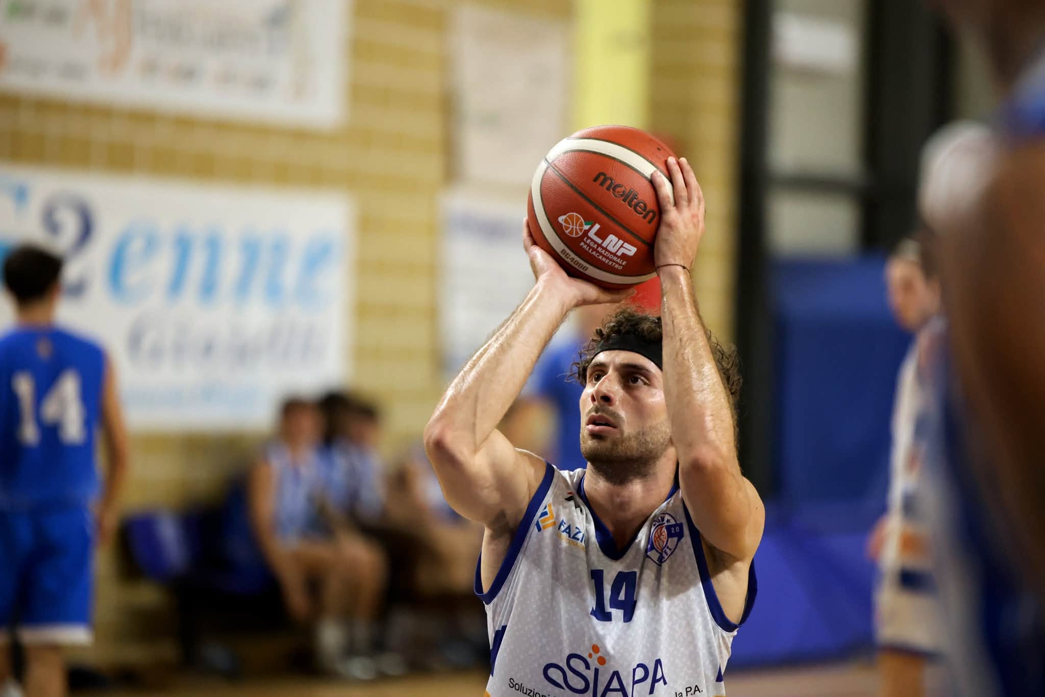 Carlo Stella Nova Basket