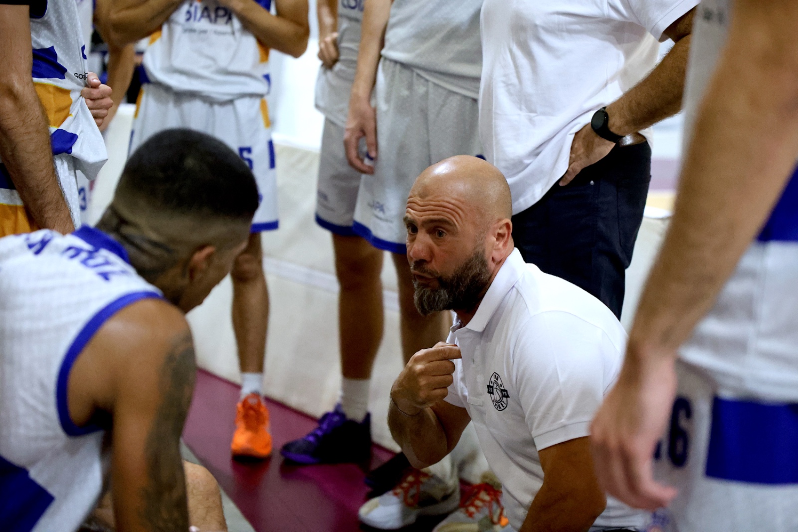 Coach Pizzuto NOVA Basket
