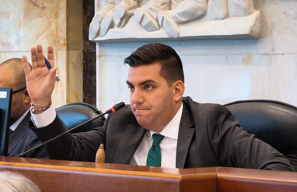 Consiglio Comunale Reggio Calabria a Palazzo Alvaro 8 ottobre 2026 Federico Milia
