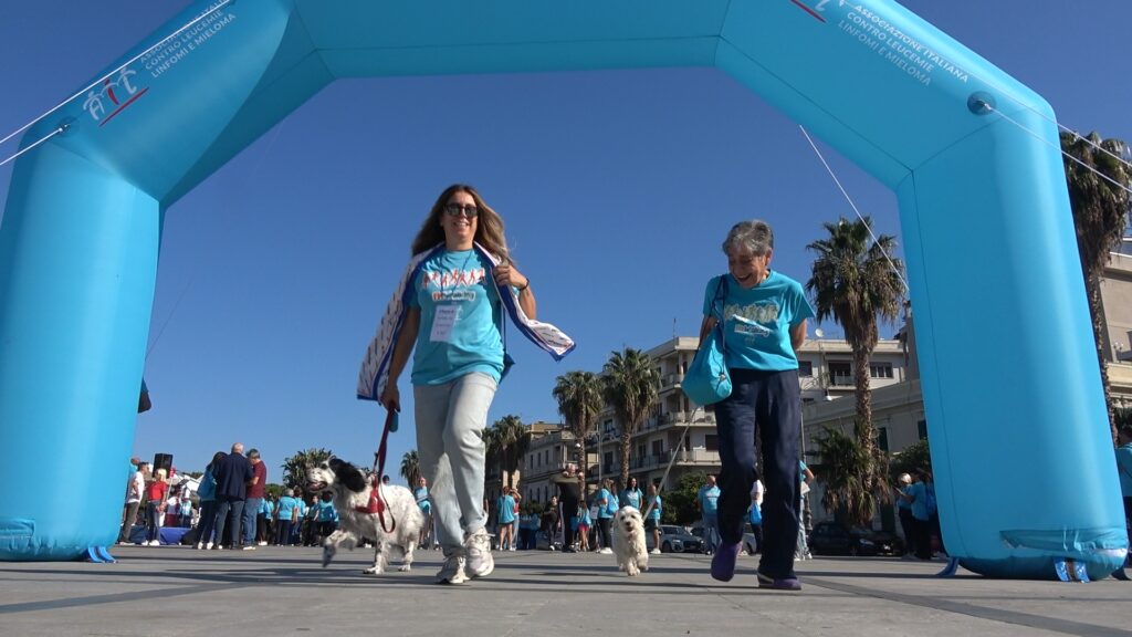 Fitwalking AIL 2026