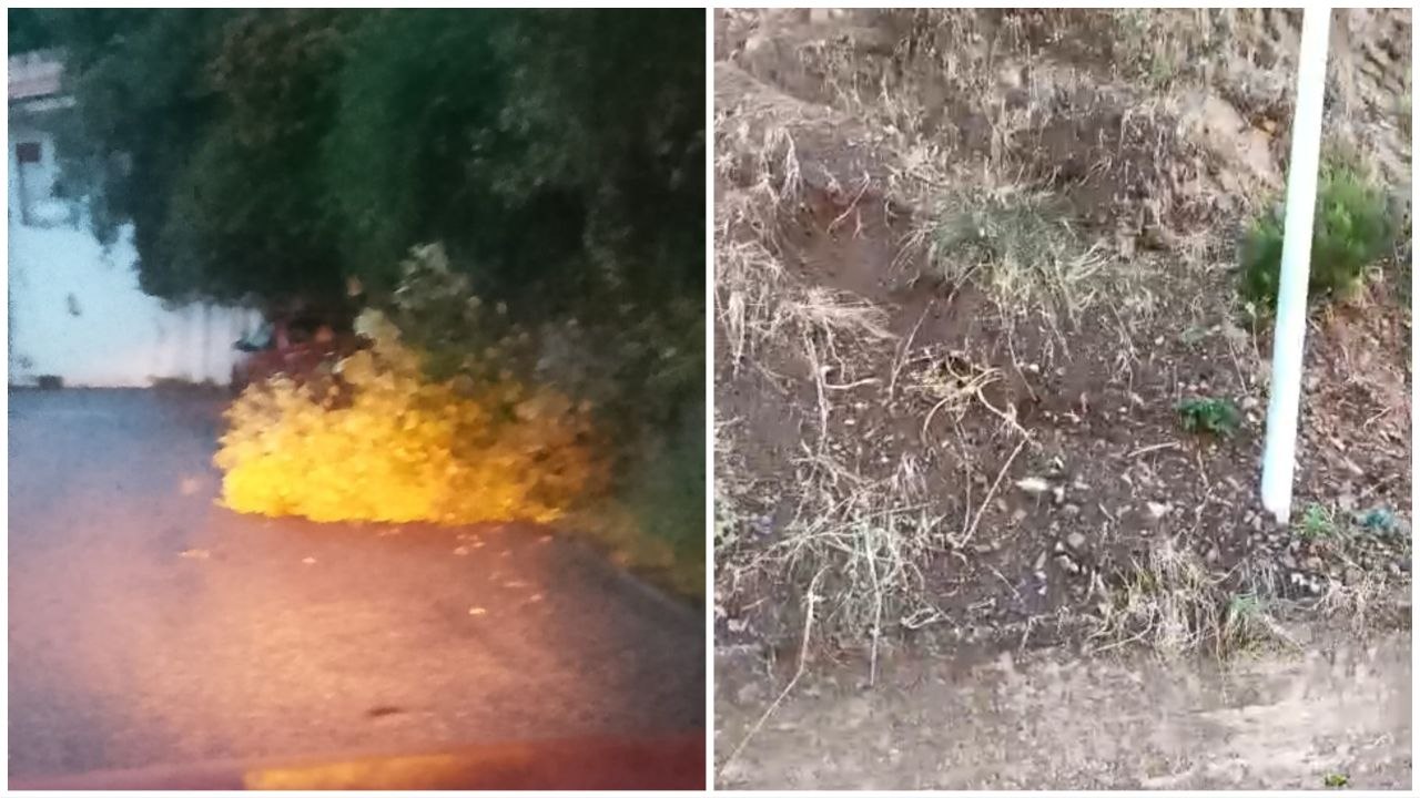 Frane e albero caduto a Cumia Messina