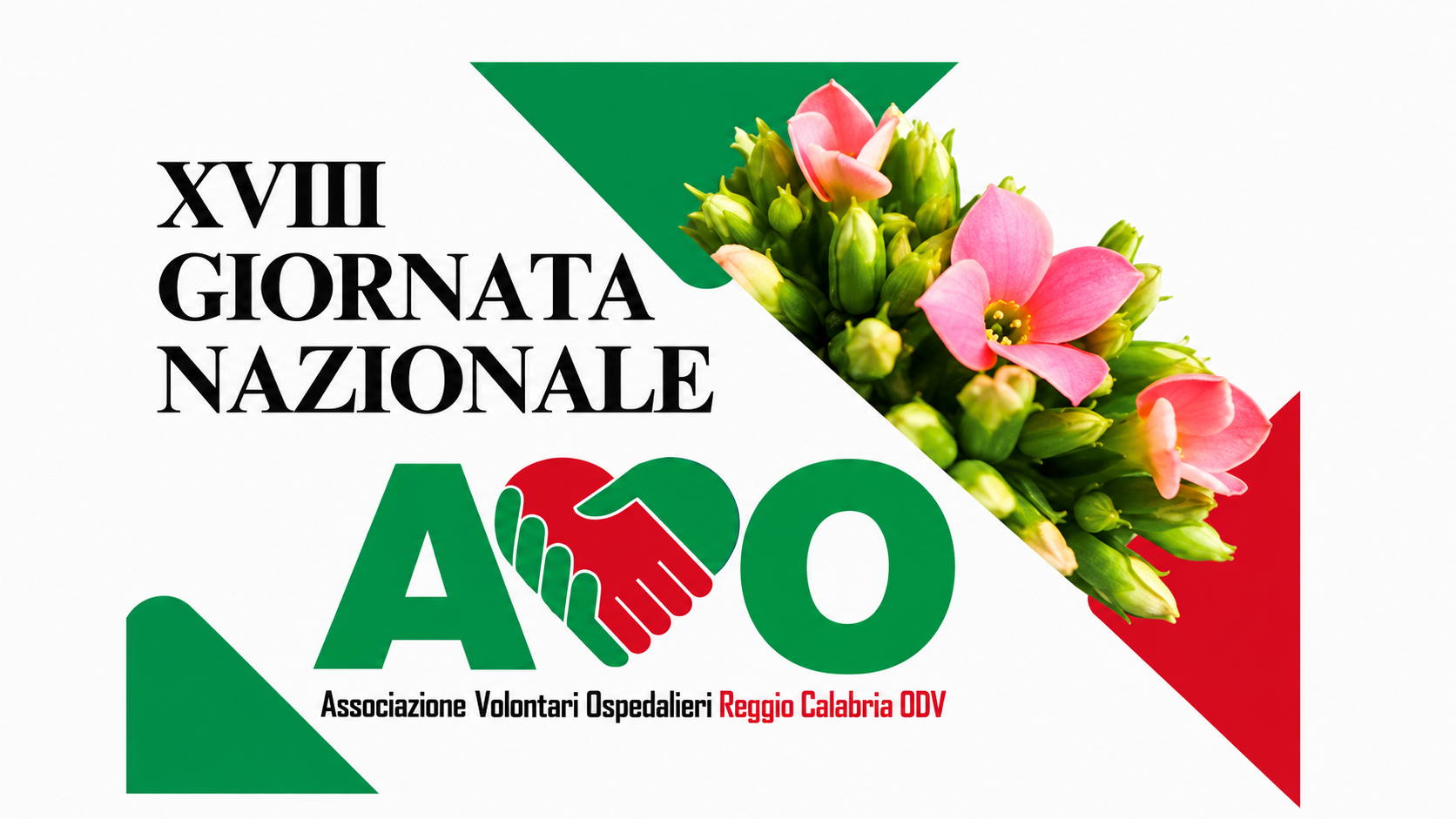 Giornata Nazionale AVO
