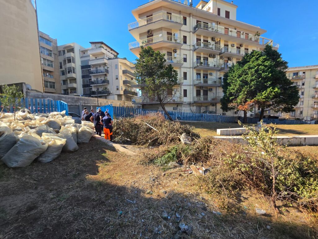 Intervento di pulizia Parco della tomba ellenistica