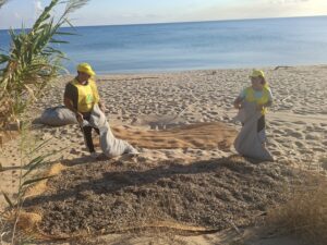 Isola di Capo Rizzuto Progetto Re.D. – Dune Restoration