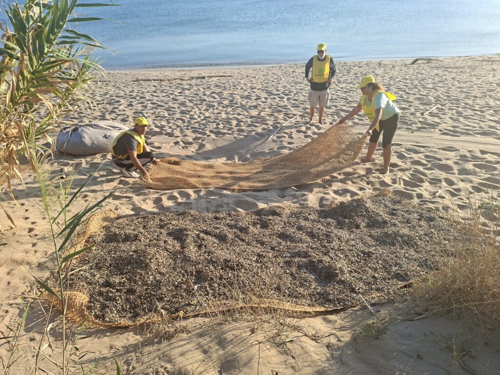 Isola di Capo Rizzuto Progetto Re.D. – Dune Restoration