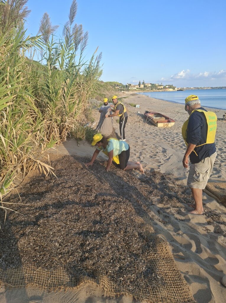 Isola di Capo Rizzuto Progetto Re.D. – Dune Restoration