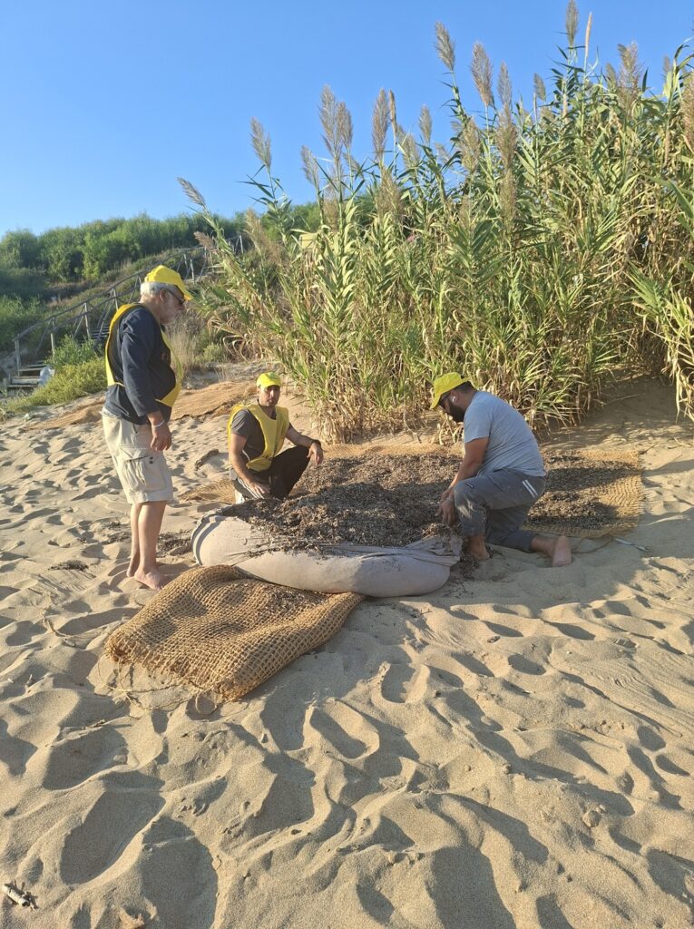 Isola di Capo Rizzuto Progetto Re.D. – Dune Restoration
