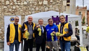 Lions taormina