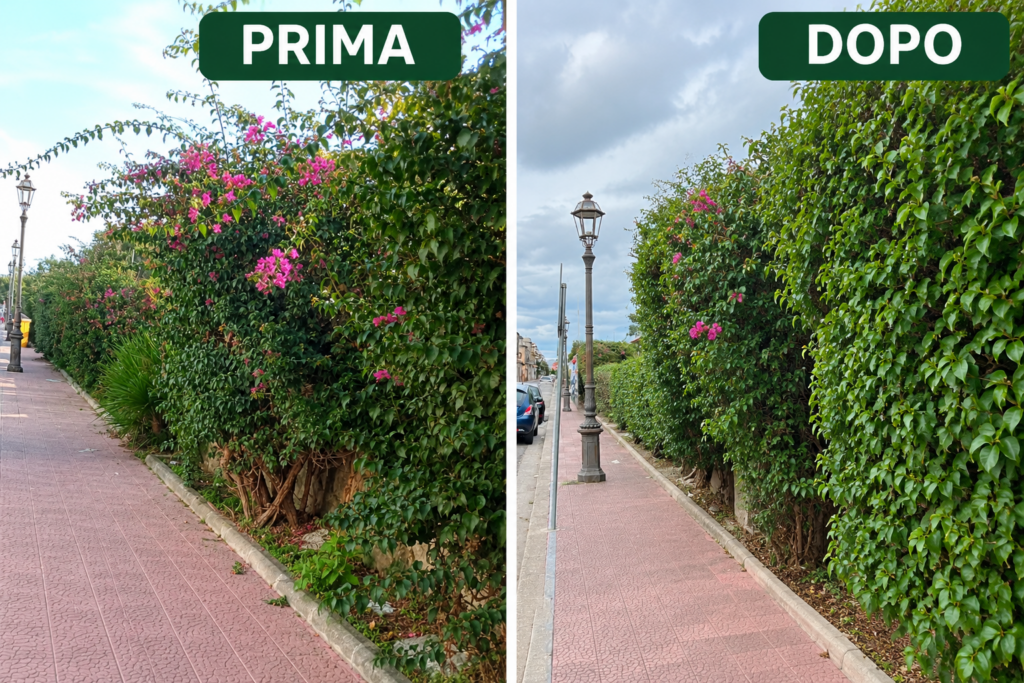 Manutenzione verde pubblico Siderno