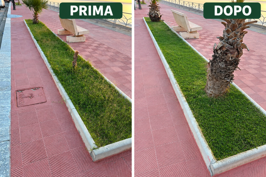 Manutenzione verde pubblico Siderno