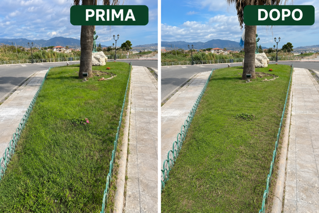 Manutenzione verde pubblico Siderno