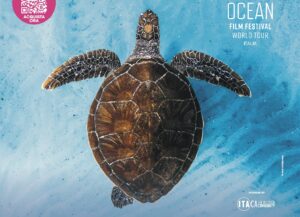 Ocean Film Festival World Tour