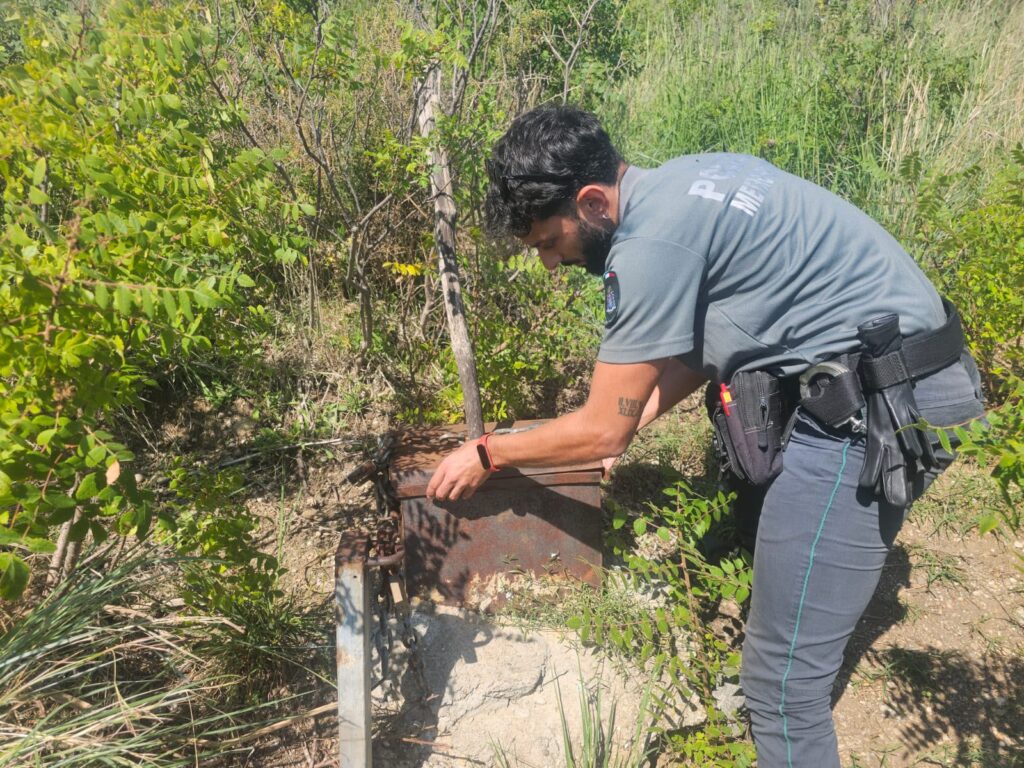 Operazioni antibracconaggio messina
