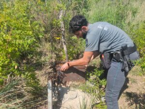 Operazioni antibracconaggio messina