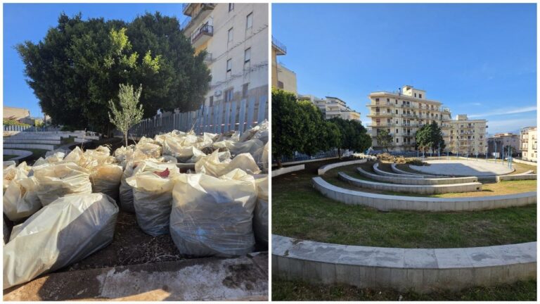 Reggio Calabria, il Parco della Tomba Ellenistica torna a splendere: non veniva pulito da anni | FOTO e VIDEO