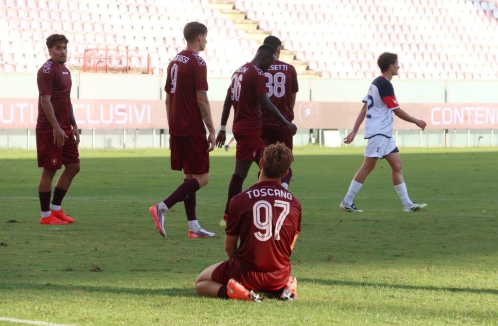Reggina-Vibonese