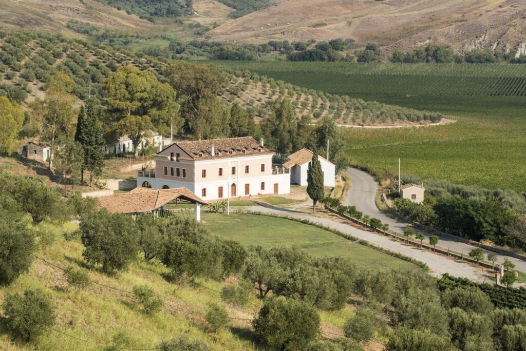 Rocca di Neto (KR), Museo Vites-Tenuta Rosaneti_