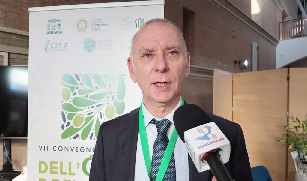 VII Convegno nazionale ricerca sull'olio d'oliva ad agraria università mediterranea marco poiana