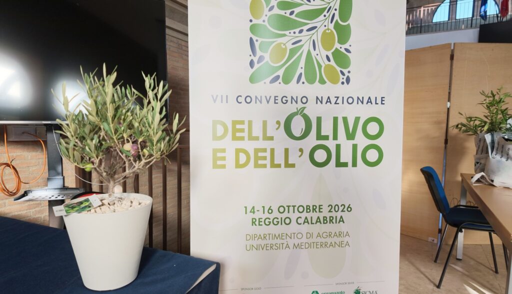 VII Convegno nazionale ricerca sull'olio d'oliva ad agraria università mediterranea