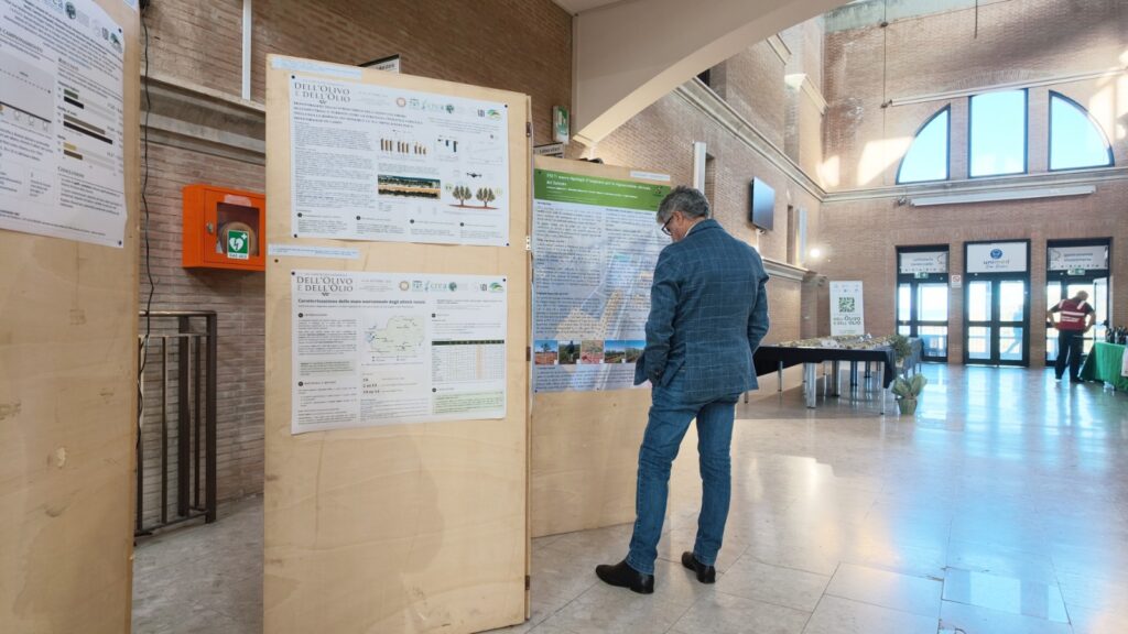 VII Convegno nazionale ricerca sull'olio d'oliva ad agraria università mediterranea