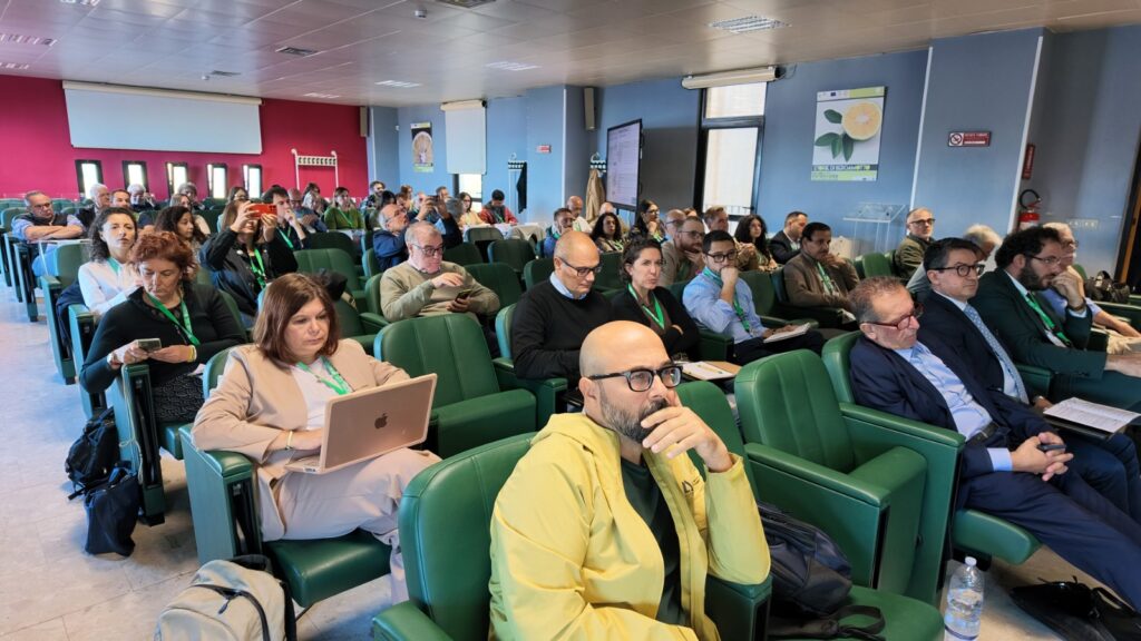 VII Convegno nazionale ricerca sull'olio d'oliva ad agraria università mediterranea