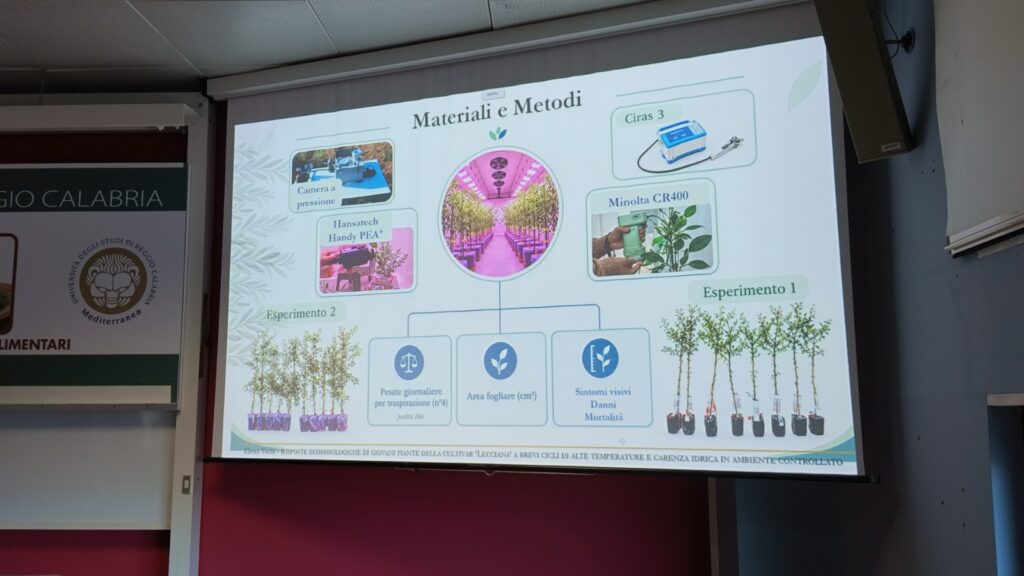 VII Convegno nazionale ricerca sull'olio d'oliva ad agraria università mediterranea