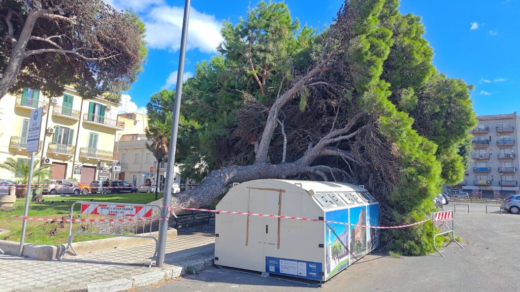 albero caduto piazza garibaldi