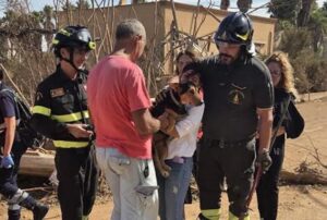 cane estratto dalle macerie marsala