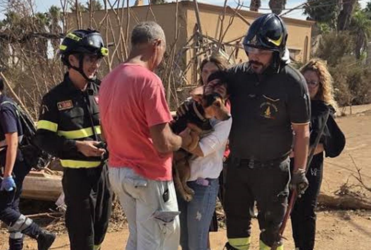 cane estratto dalle macerie marsala