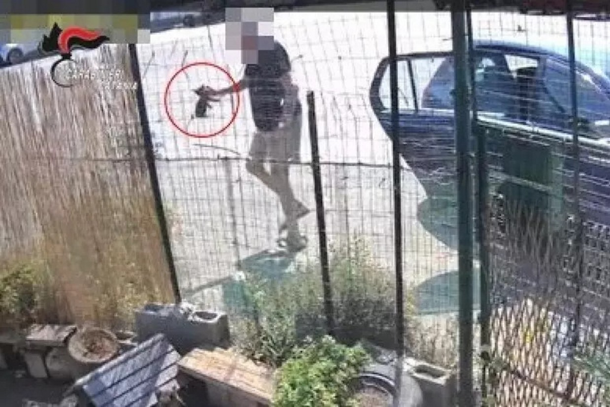 carabinieri catania uomo lancia gattini