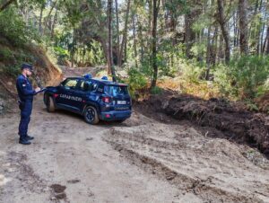 carabinieri forestali
