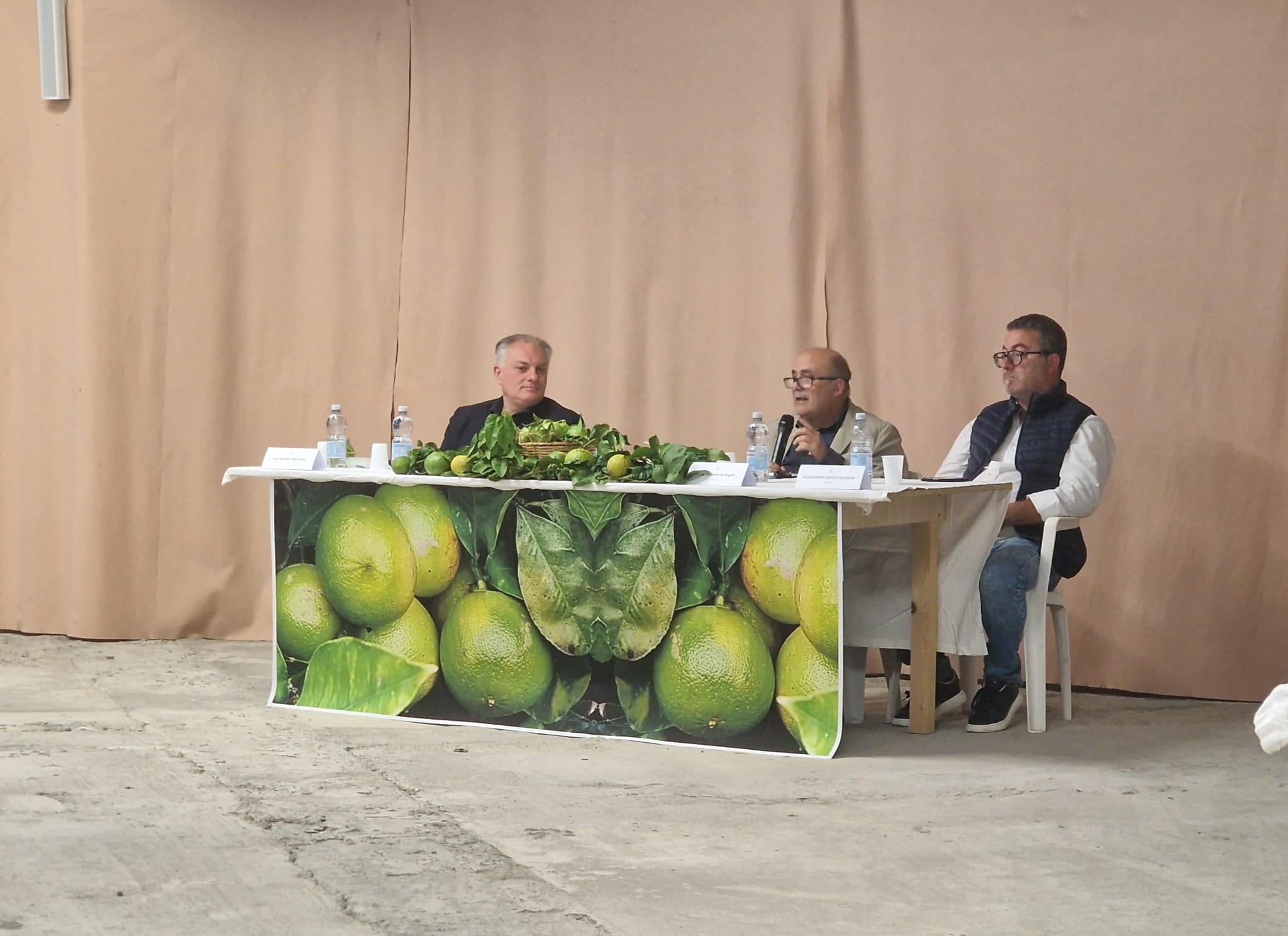 Reggio Calabria, agricoltura in difficoltà nell’Area Grecanica: l’allarme su cos