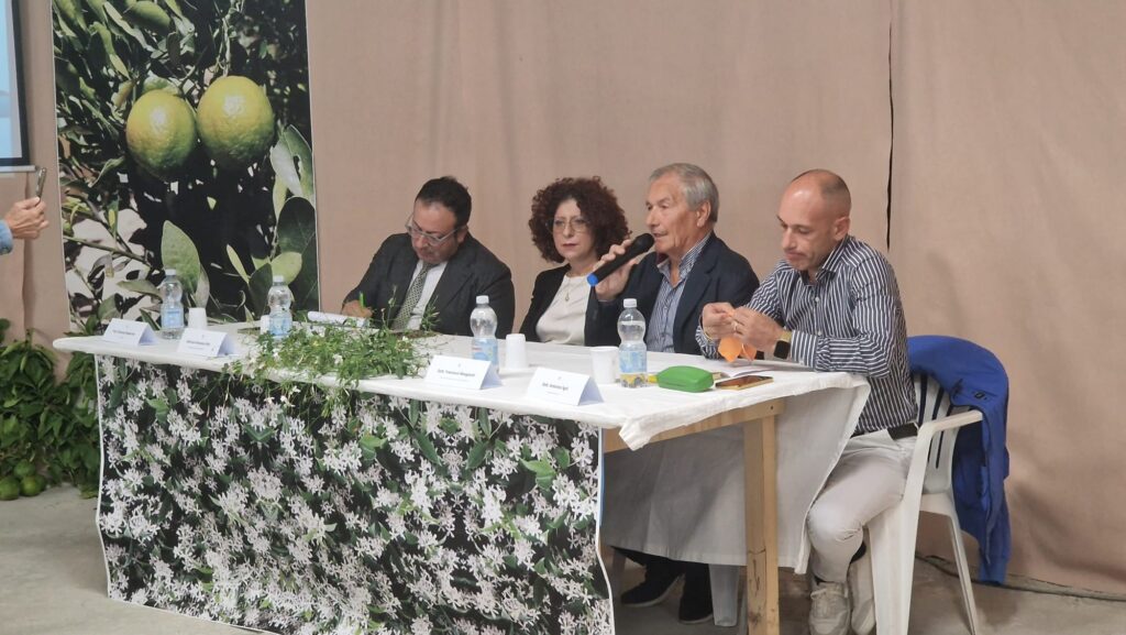 convegno agricoltura area grecanica