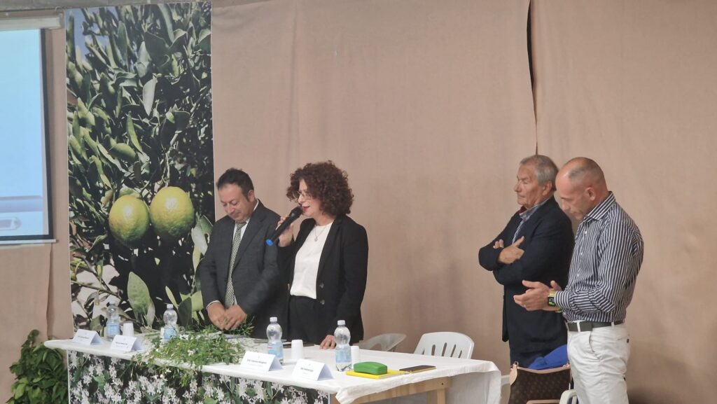 convegno agricoltura area grecanica