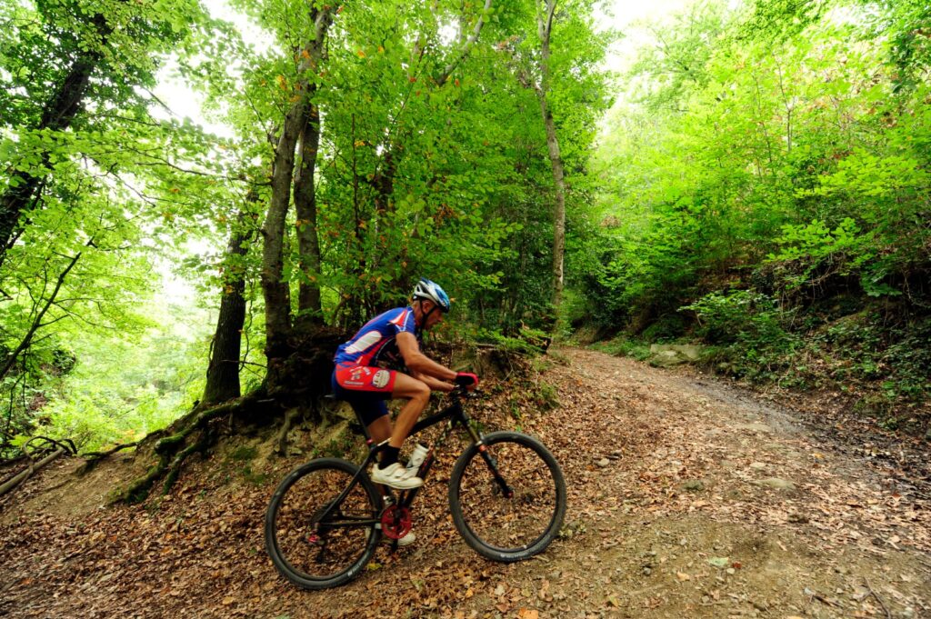 csi mtb xc