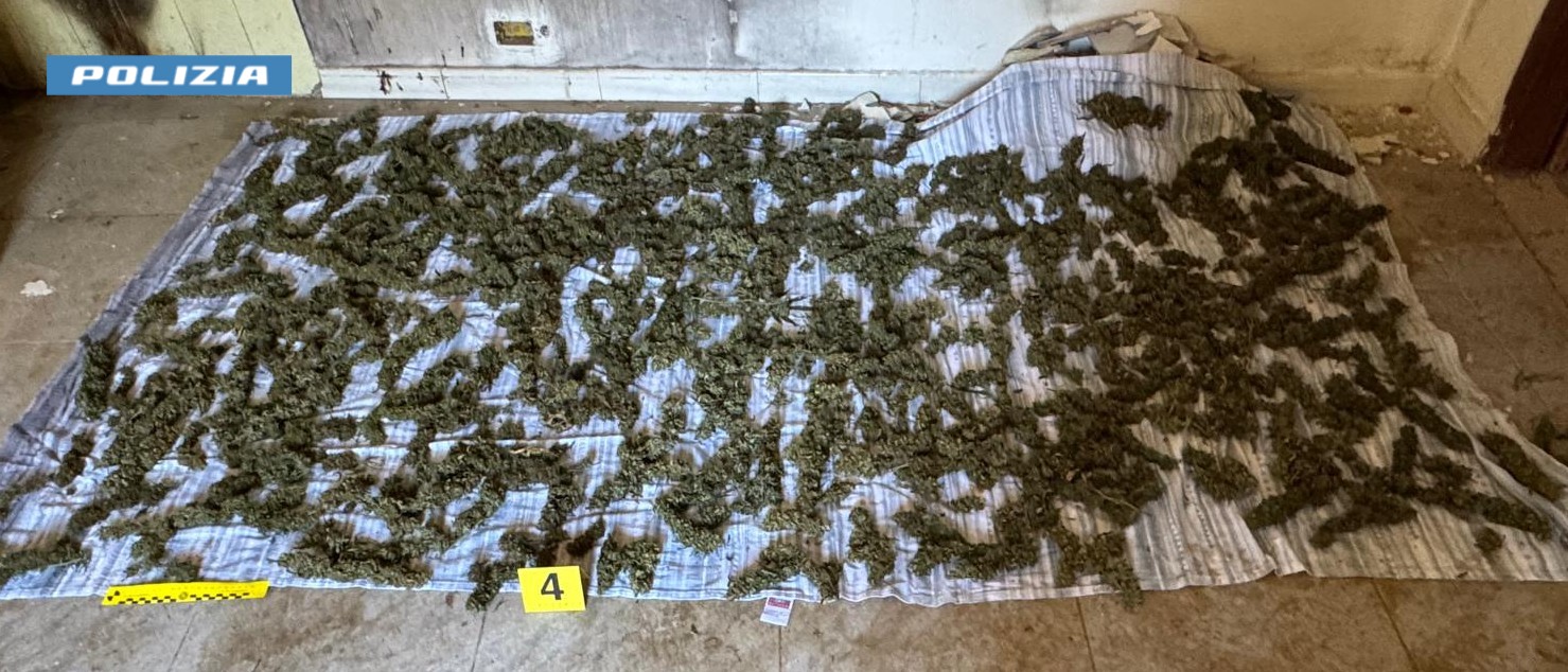 Reggio Calabria, scoperti oltre 8 kg di marijuana in casa a Sinopoli: un arresto