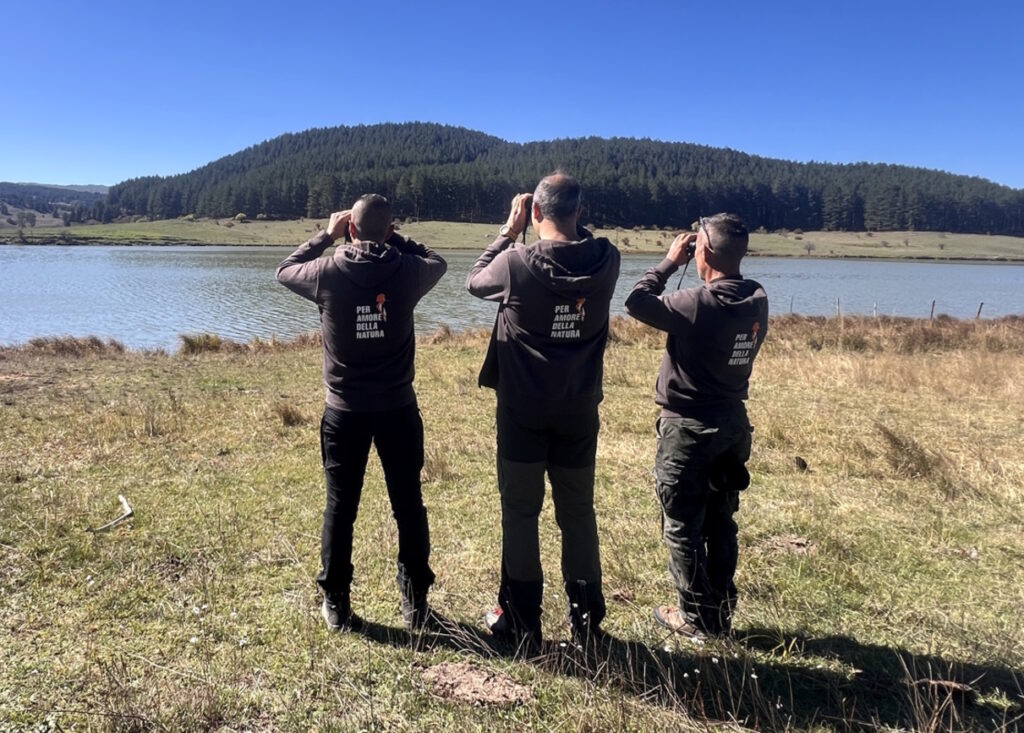 eurobird watch
