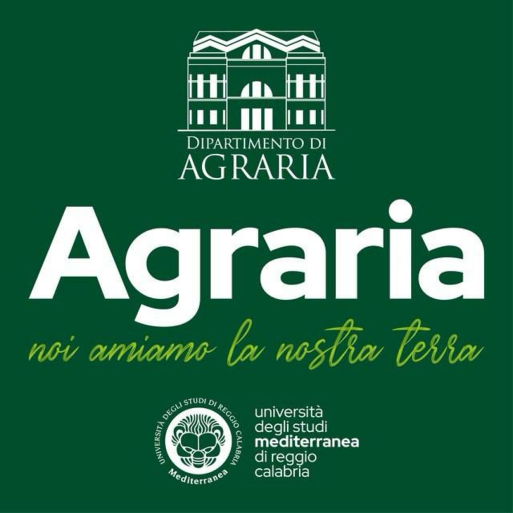 grafica dipartimento agraria università mediterranea