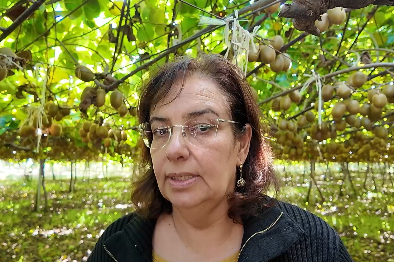 imprenditrice rizziconi produzione kiwi
